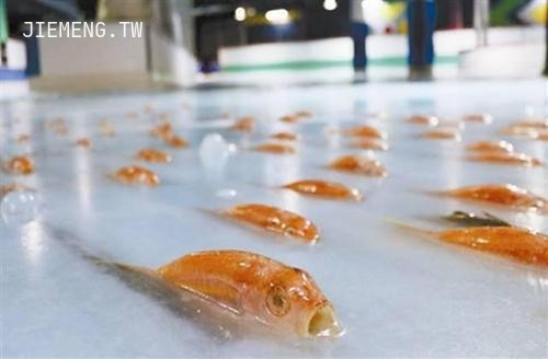 梦见冰箱里有两条鱼，寓意与解析