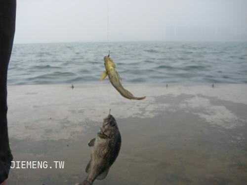 梦境解析，无饵鱼钩钓到大鱼的深层含义