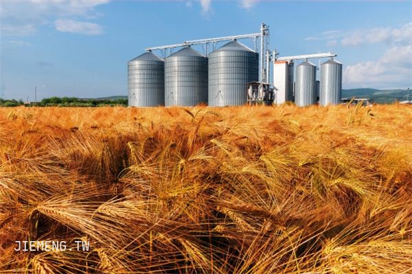 梦见稞麦 梦见稞麦