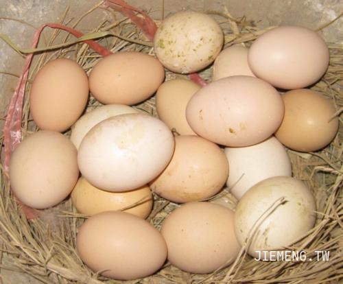 梦见别人送鸡蛋