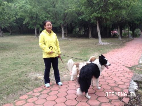 梦见遛狗